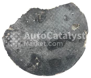 Катализатор от GAZ A21R32.1206004 (DPF)