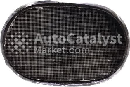 Катализатор от Chevrolet, General Motors, Hummer 25153008