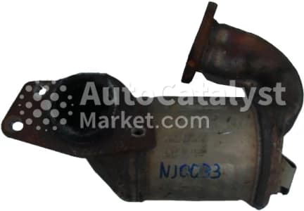 Катализатор от Renault NJ0033
