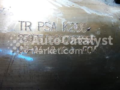 Катализатор от Peugeot, Citroën TR PSA K266 (DPF)