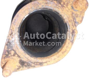 Катализатор от Ford 2395569X №8