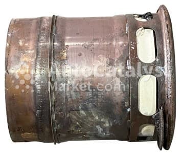Катализатор от DAF 2134535 №8