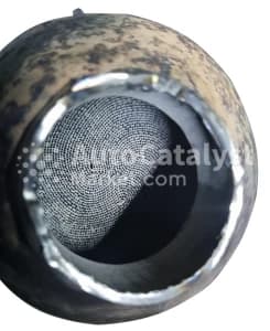 Катализатор от Fiat ZSM011 №2