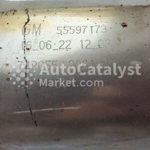 Катализатор от Chevrolet, General Motors 55597173 №8
