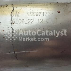 Катализатор от Chevrolet, General Motors 55597173