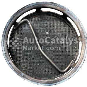 Катализатор от DAF DAF 1891485 №1