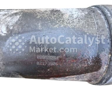 Катализатор от Peugeot, Citroën 82173906 №2