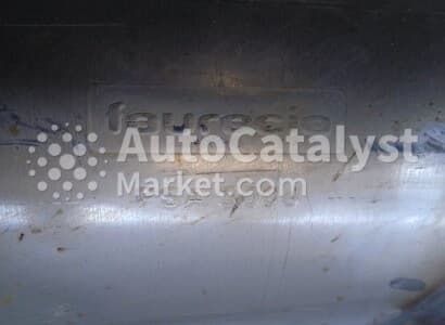 Катализатор от Peugeot, Citroën PSA F024 / PSA S004 (DPF) №10