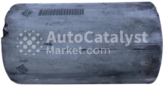 Катализатор от Renault 1980012077X0424 (DPF monolith) №1