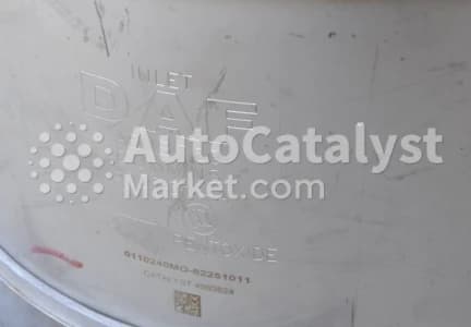 Катализатор от DAF 300731-A №2