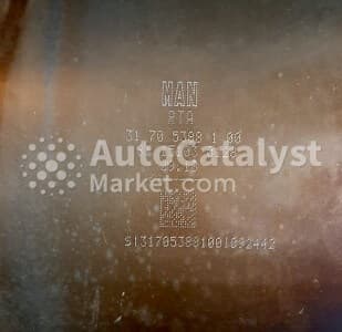 Катализатор от MAN 31705388100 №3