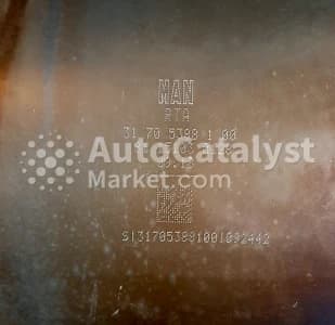 Катализатор от MAN 31705388100 №1
