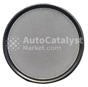 Катализатор от MAN 31705388100