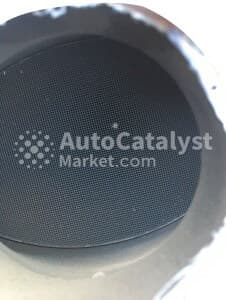 Катализатор от Chevrolet, Opel, General Motors 12573361 №6