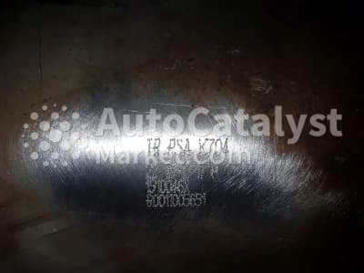 Катализатор от Peugeot, Citroën TR PSA K704 + TR PSA F010 (DPF)