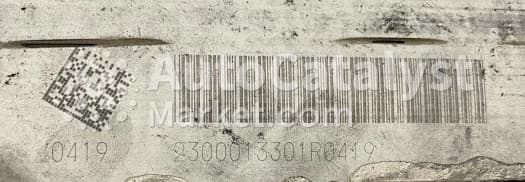 Катализатор от Ford 2300013301R0419 (DPF monolith)
