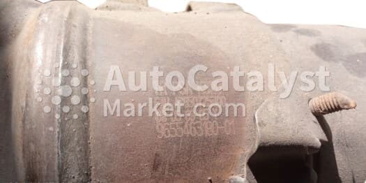 Катализатор от Peugeot, Citroën TR PSA K320 №12