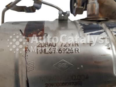 Катализатор от Renault, Dacia 208A07291R №14