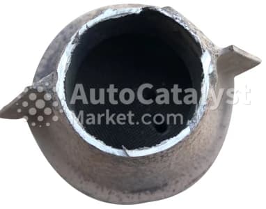 Катализатор от Daewoo DWB04 №2