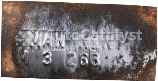 Катализатор от Ford MAN-RIN