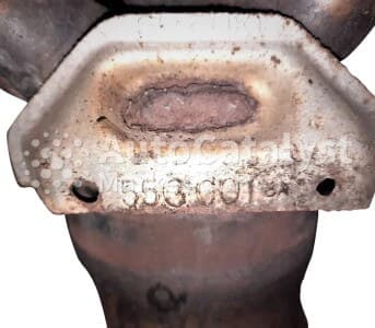 Катализатор от Suzuki, Fiat 55G-C01 BA №5