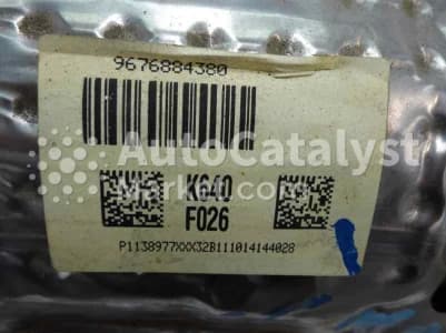 Катализатор от Peugeot, Citroën TR PSA K640 (CERAMIC+DPF)