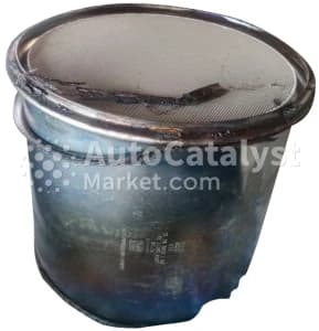 Катализатор от MAN 31705025100 №1