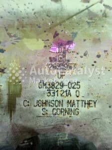 Катализатор от Chevrolet, General Motors, Holden 12631957