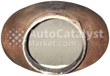 Катализатор от General Motors, Pontiac 12575939 №11