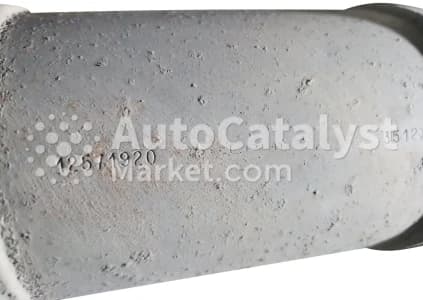 Катализатор Chevrolet, General Motors 12571920