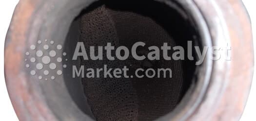 Катализатор от Nissan X2 (75%) (Nissan) №12