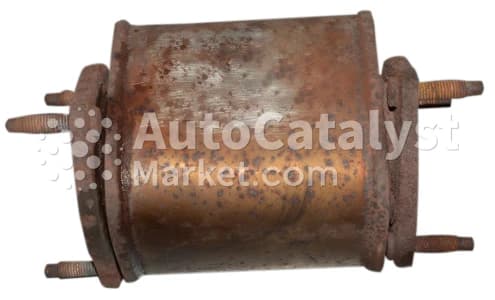 Катализатор от Daewoo 86467389 №2