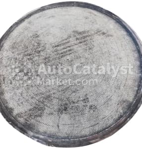 Катализатор от Scania 1548342 №2