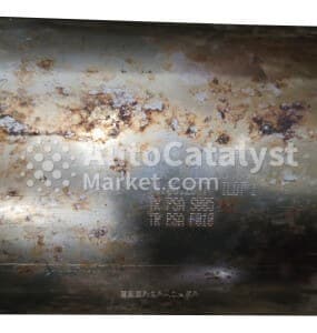 Катализатор от Peugeot, Citroën TR PSA S005 / TR PSA F010 (SCR+DPF)