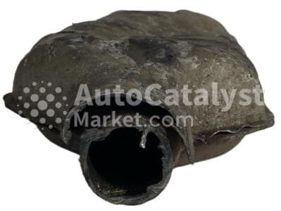 Катализатор от Tata EESIL - DOCC 002 №9