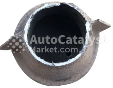 Катализатор от Daewoo DAEJI (Small) (Type 4) №2