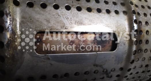 Катализатор от Peugeot, Citroën TR PSA F008 (DPF)