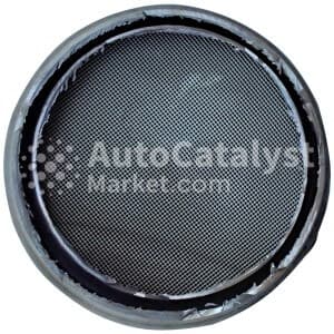 Катализатор от Chevrolet, General Motors 55597173