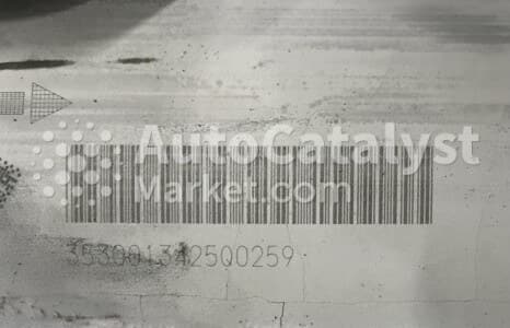 Катализатор от Renault 3530013425Q0259 (DPF monolyth) №2