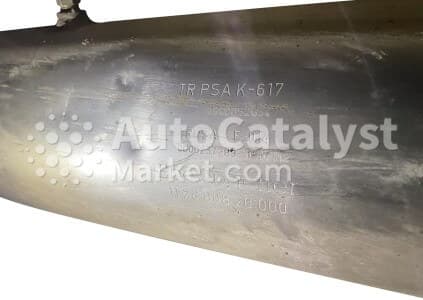 Катализатор от Peugeot, Citroën TR PSA K617 (CERAMIC+DPF) №7