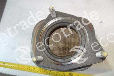 Катализатор от Daewoo 25181912 №3