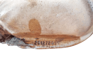 Катализатор от General Motors 25127201 №2