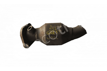 Катализатор от Great Wall Motors 20091219 №1