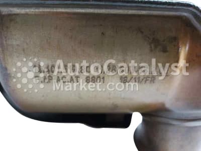 Катализатор от Peugeot, Fiat, Citroën 8801