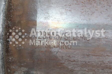 Катализатор от Hyundai, KIA W2BNA5