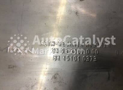 Катализатор от MAN 31983107000