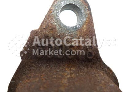 Катализатор от Renault, Dacia C79